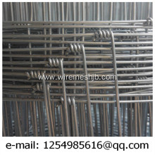 Woven Wire Fencing-Galvanized Kraal Network